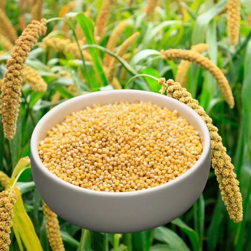 Millets