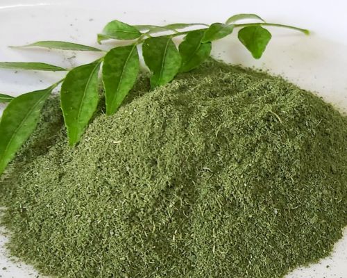 Dehydrated Curry Leaves Export Image