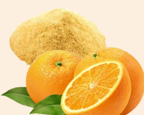 Dehydrated Orange Export Image
