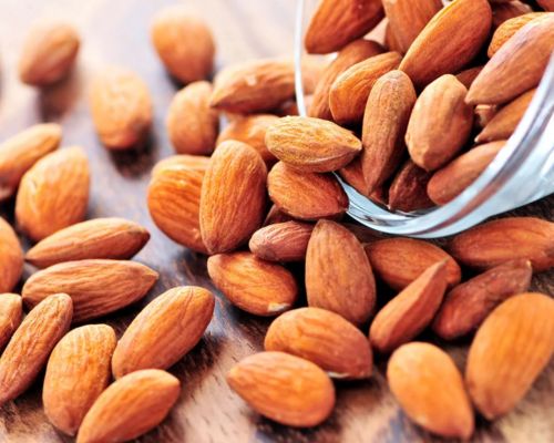 Fresh Almonds Export Image