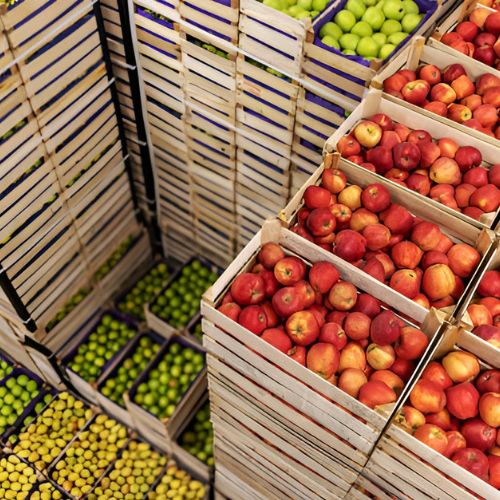 Export Services Image