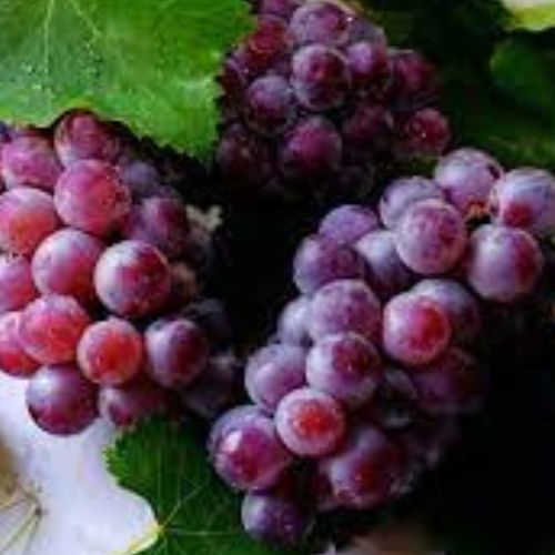 Grapes