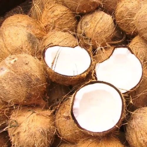 Semi Husk Coconut