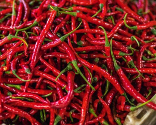 Dry Chilli Export Image