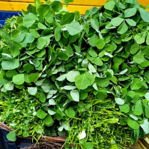 Fenugreek Leaves