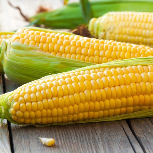 Sweet Corn