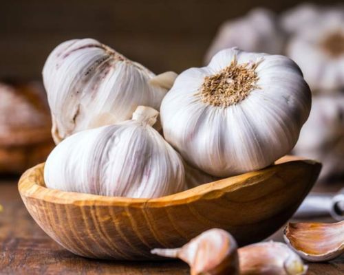 Fresh Garlic Export Image