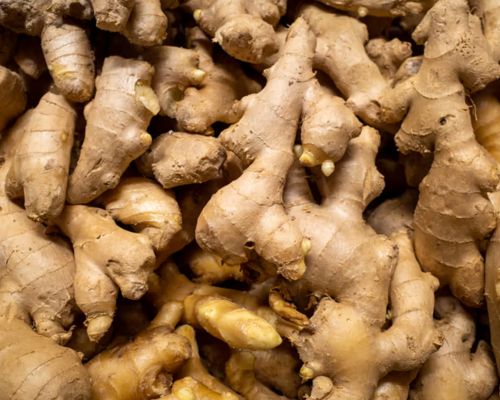 Fresh Ginger Export Image