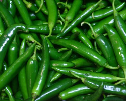 Fresh Green Chilli Export Image